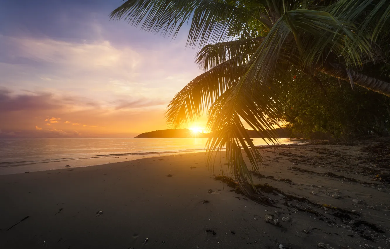 Photo wallpaper beach, sunset, palm trees, the ocean, The Indian ocean, Seychelles, Indian Ocean, Seychelles