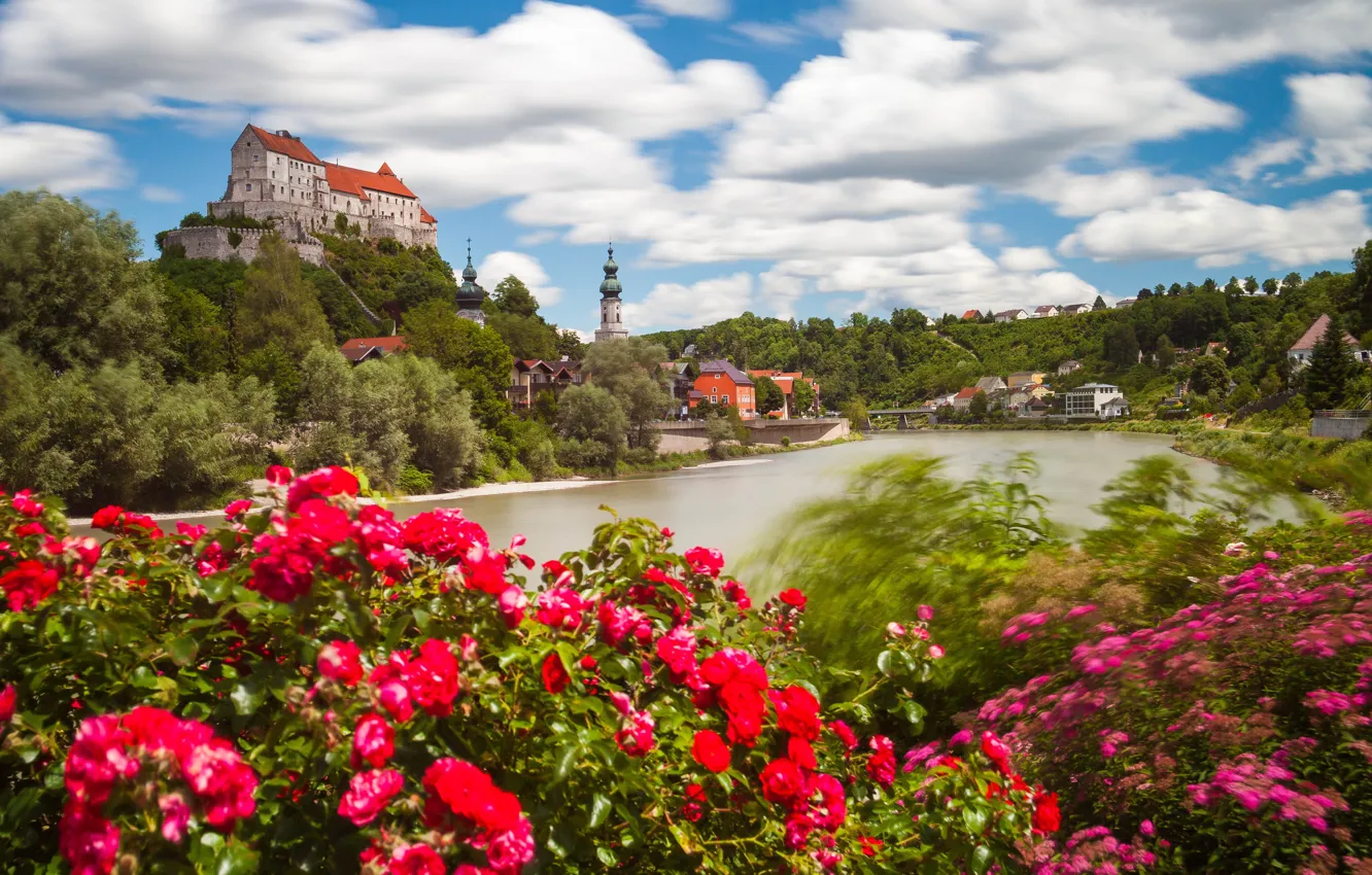 Photo wallpaper flowers, river, castle, roses, Germany, Bayern, the bushes, Germany