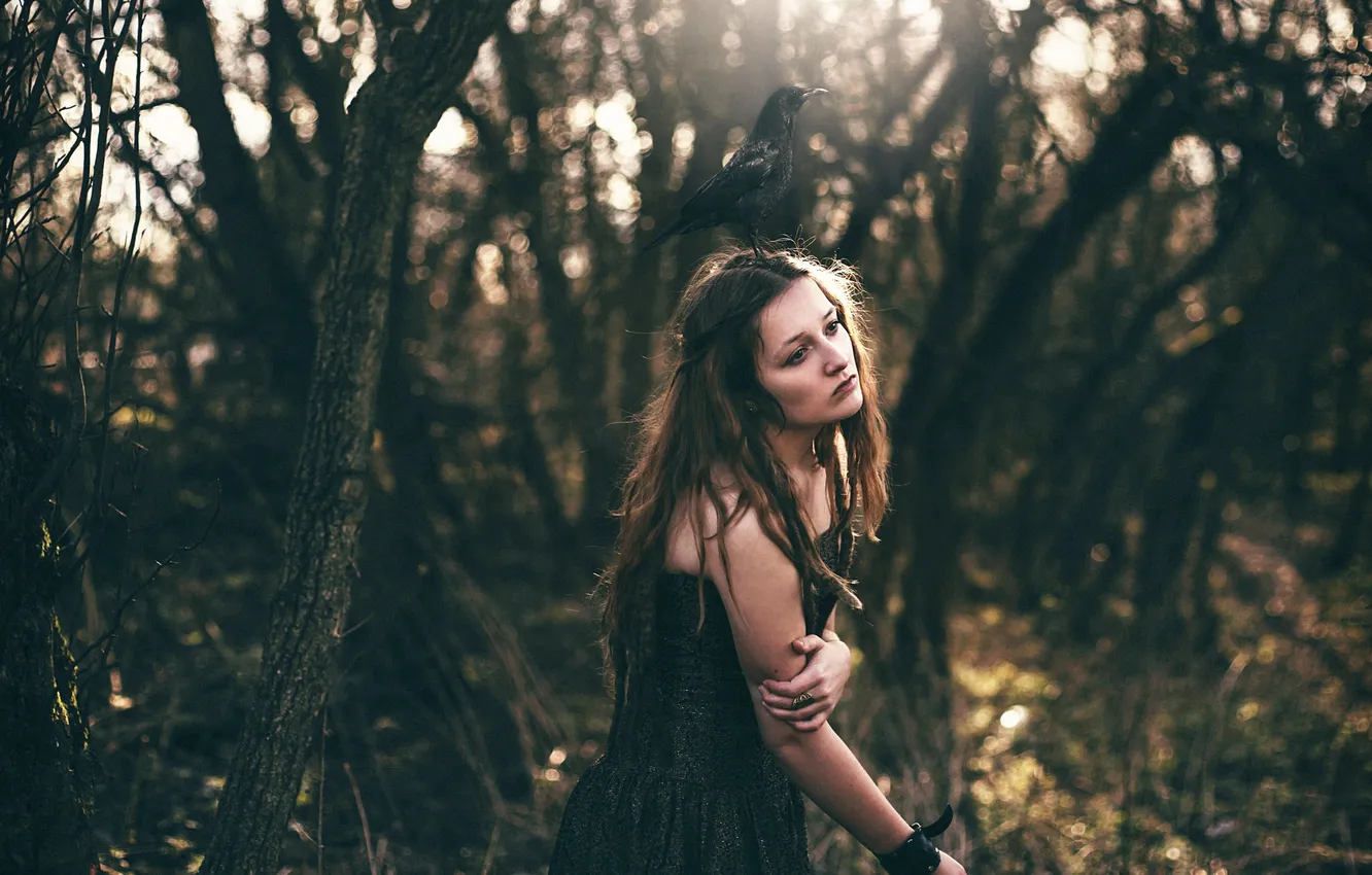 Photo wallpaper girl, crows, Amy Spanos