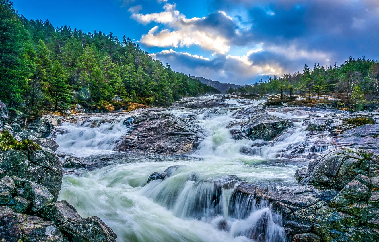 Photo wallpaper forest, the sky, clouds, trees, mountains, river, stones, thresholds
