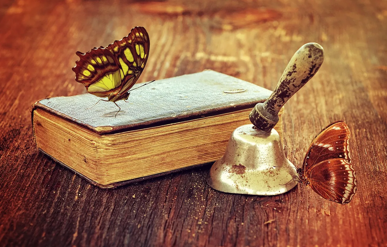 Photo wallpaper wood, old, book, antique