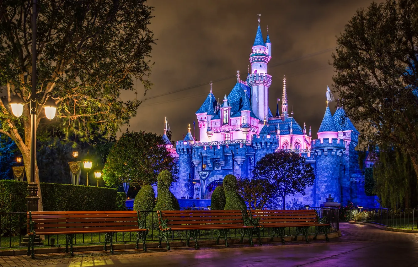 Photo wallpaper Disneyland, Swan Bush, sleeping beauty castle