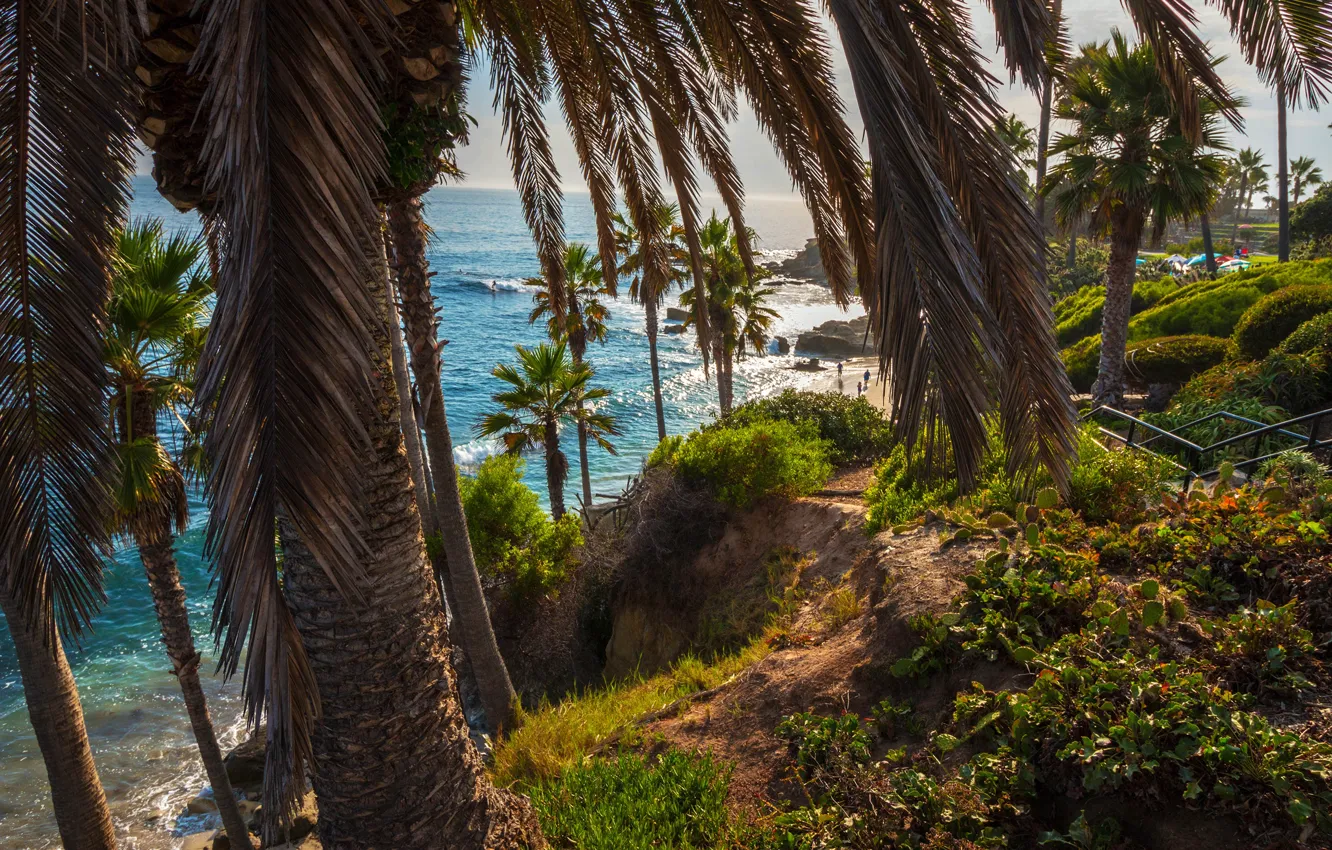 Photo wallpaper sea, greens, beach, the sun, stones, palm trees, shore, CA