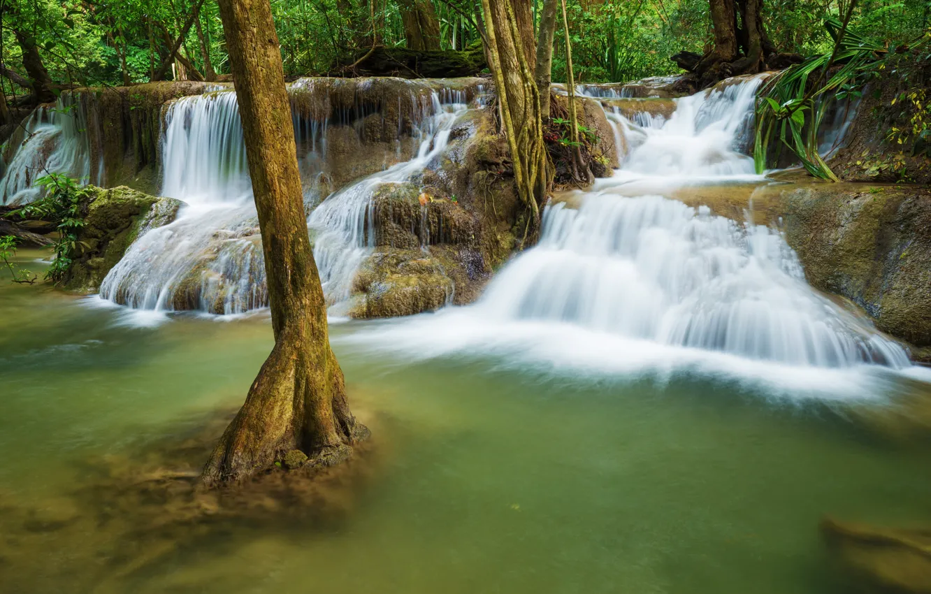 Photo wallpaper forest, landscape, river, rocks, waterfall, summer, forest, tropical