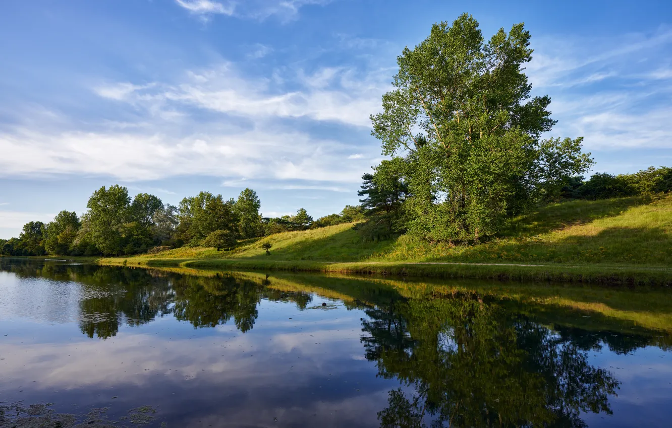 Photo wallpaper summer, trees, reflection, river