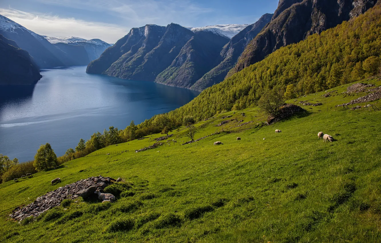 Photo wallpaper mountains, Norway, the fjord, Sogn and Fjordane