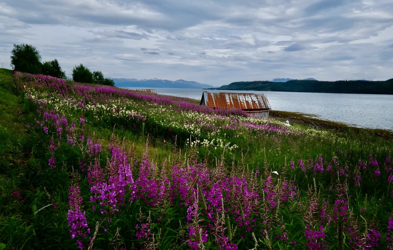 Photo wallpaper sea, grass, landscape, mountains, clouds, nature, house, shore