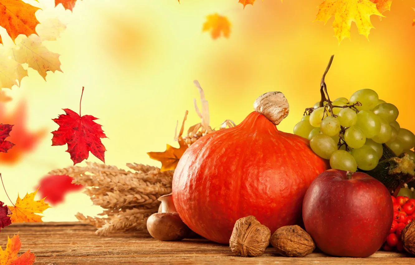 Photo wallpaper autumn, leaves, mushrooms, Apple, pumpkin, fruit, vegetables, Kalina