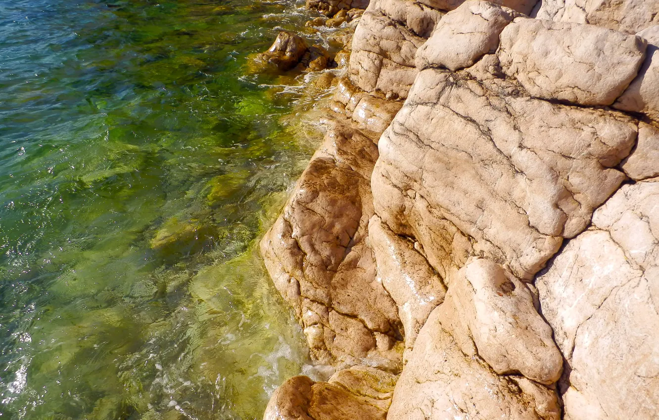 Photo wallpaper beach, water, green, stones
