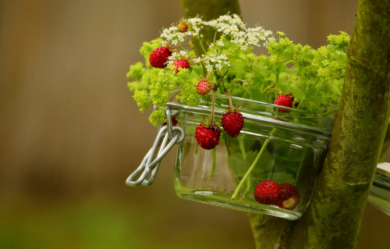 Photo wallpaper summer, grass, trees, nature, berries, strawberries, Bank