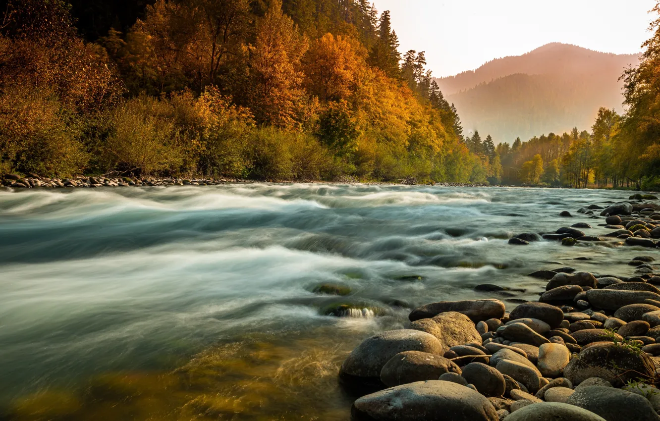 Photo wallpaper autumn, forest, landscape, nature, fog, river, stones, Bank