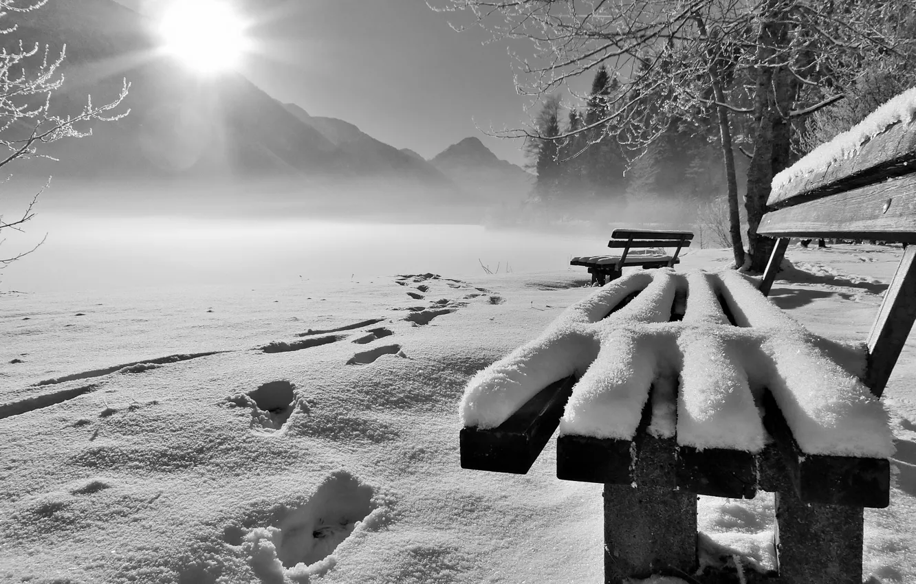 Photo wallpaper winter, snow, morning, bench