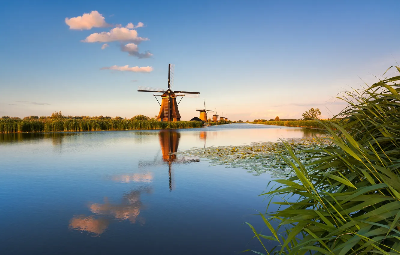 Photo wallpaper grass, clouds, lake, reflection, blue, shore, pond, windmills