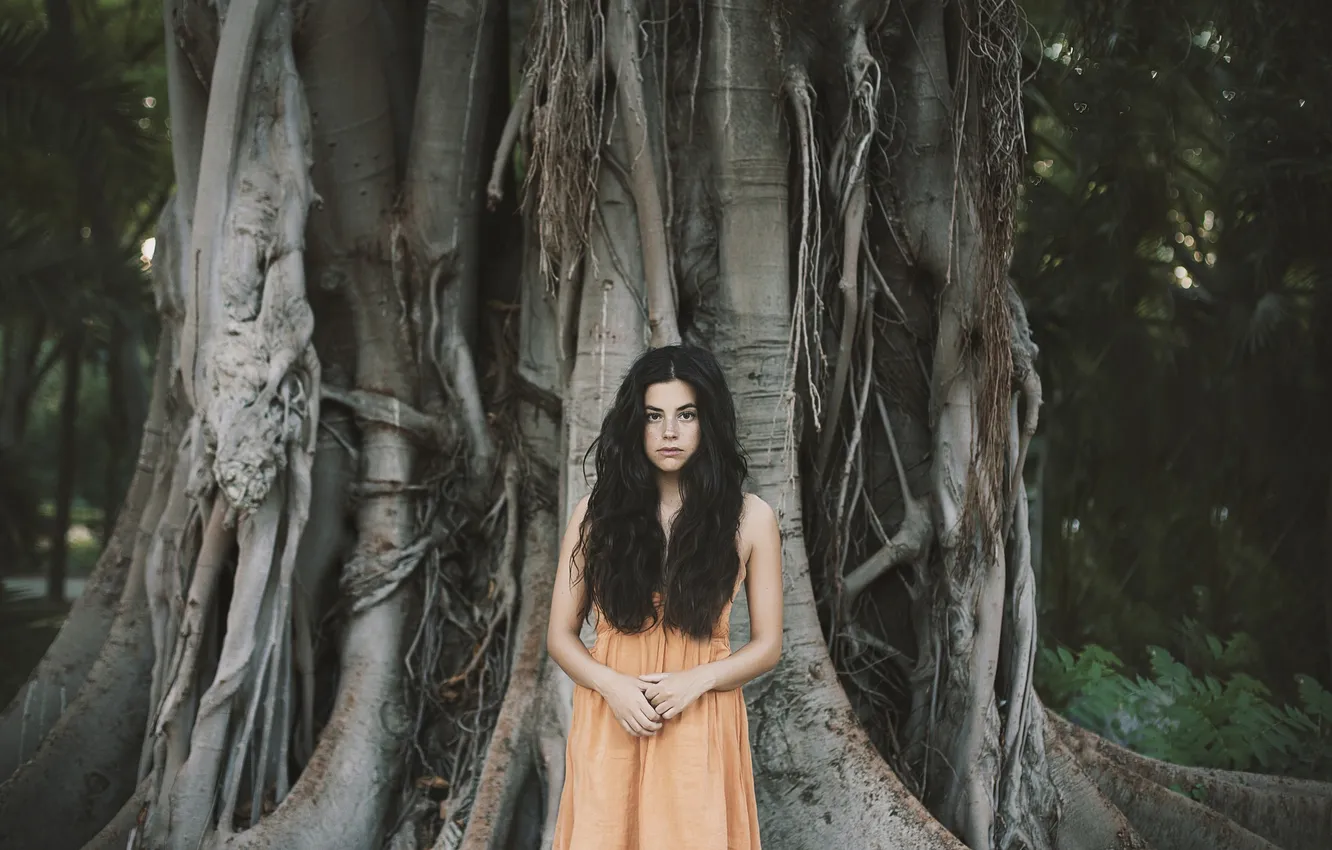 Photo wallpaper girl, tree, brunette