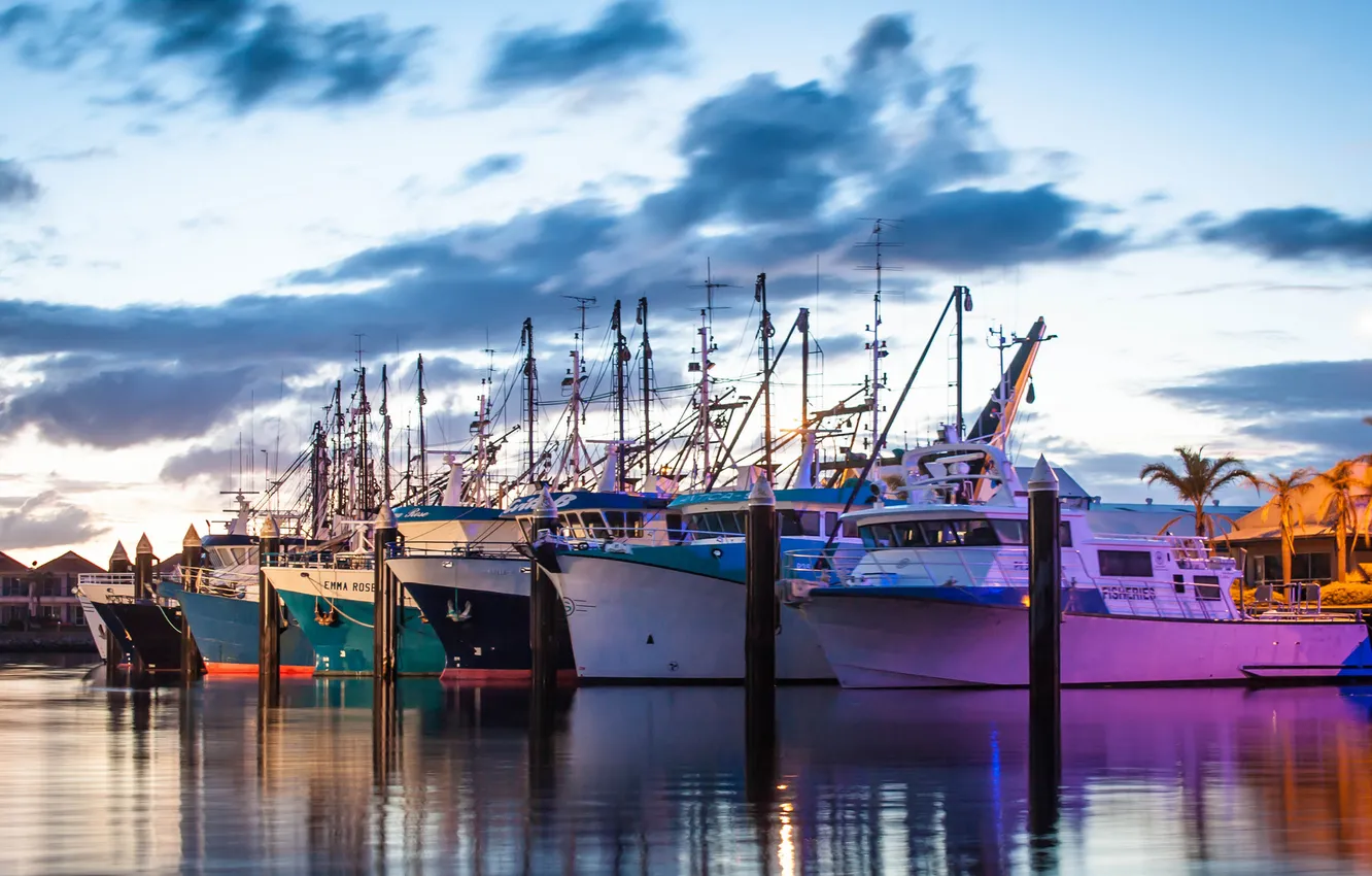 Photo wallpaper dawn, boats, morning, port, harbour, fishing