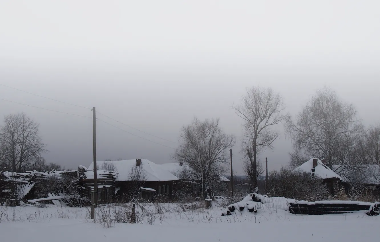 Photo wallpaper winter, white, snow, trees, grey, black, home, village