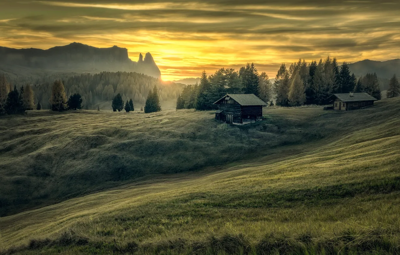 Photo wallpaper field, forest, hills, slope, houses