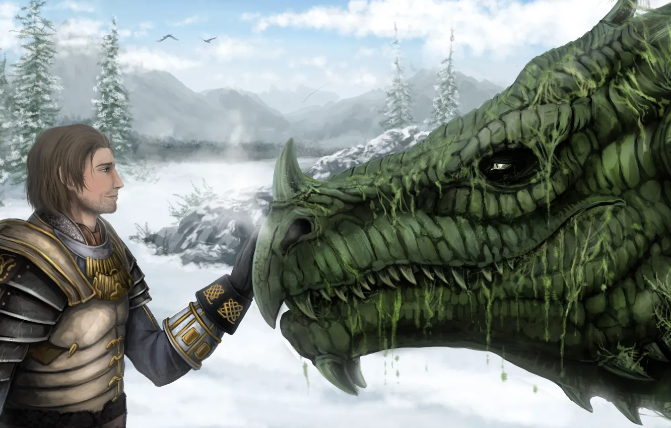 Photo wallpaper fiction, dragon, the game, game, Dragon Age