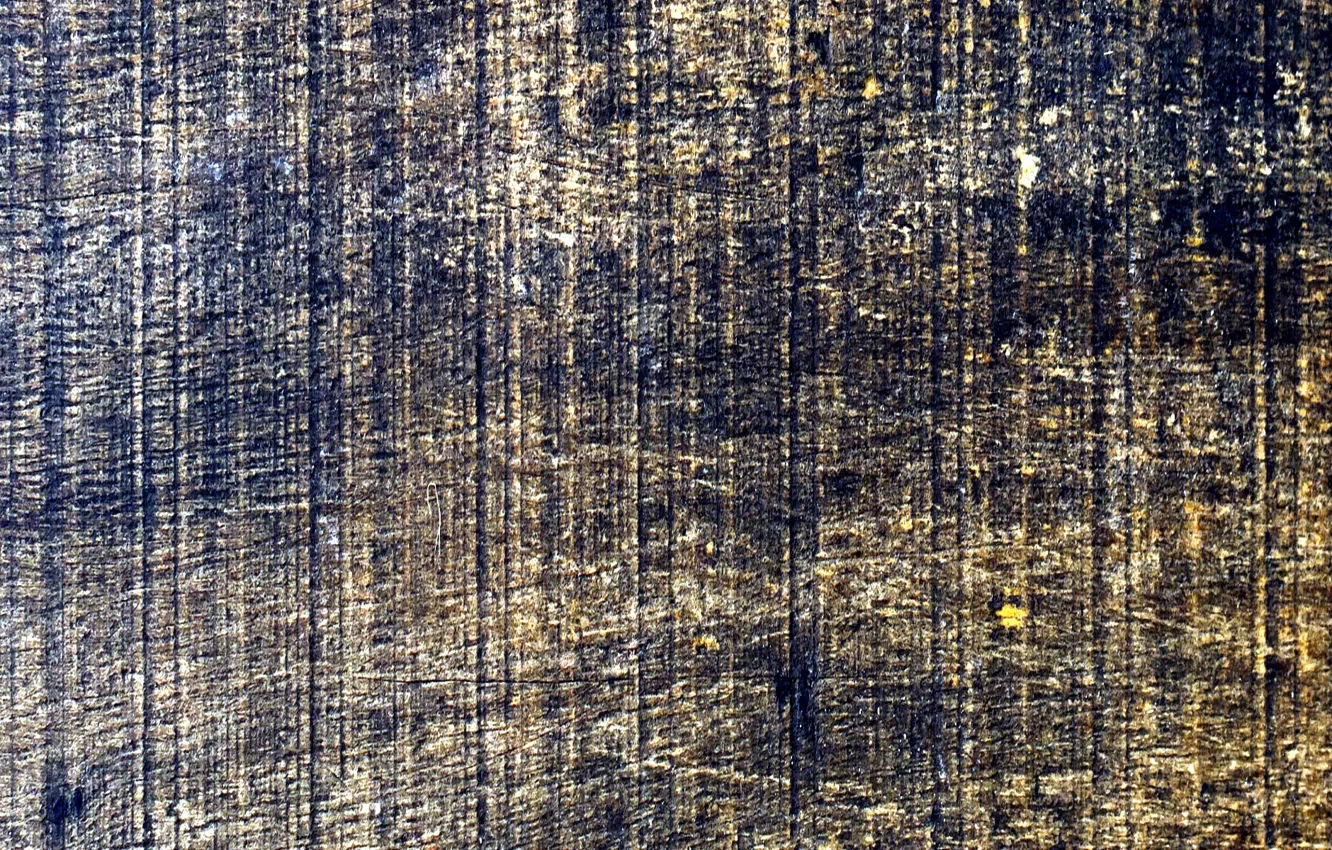 Photo wallpaper color, wood, texture