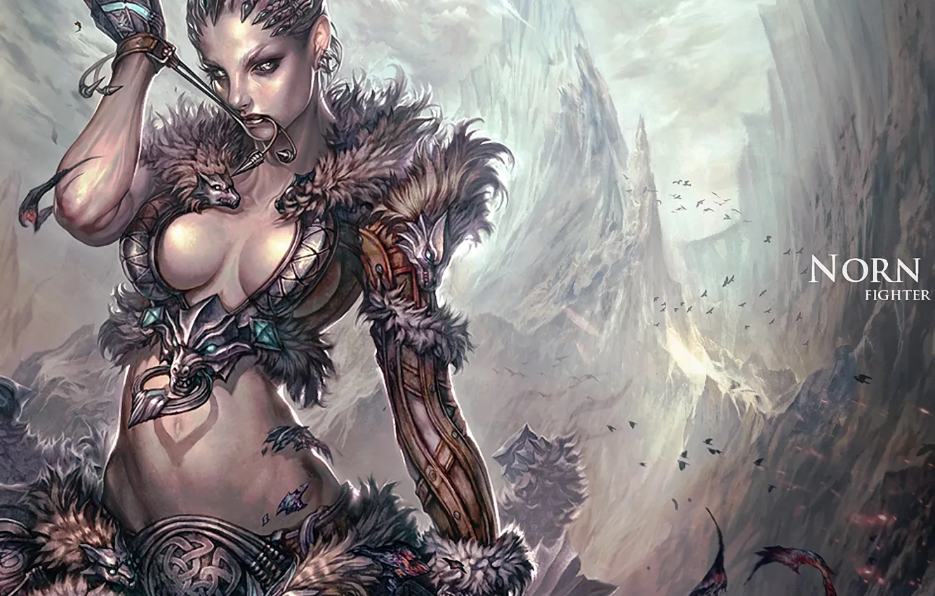 Photo wallpaper girl, flight, bird, gorge, fighter, Guild Wars