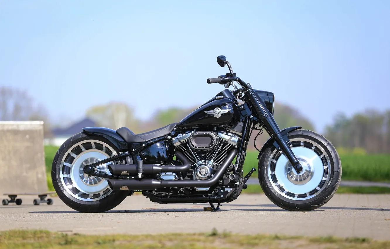 Photo wallpaper motorcycle, Harley Davidson, bike, Thunderbike customs