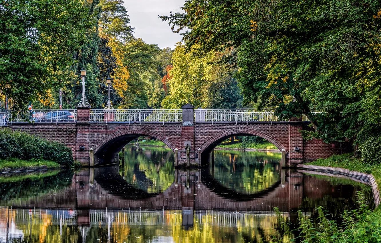 Photo wallpaper autumn, trees, bridge, pond, Park, Netherlands, Utrecht