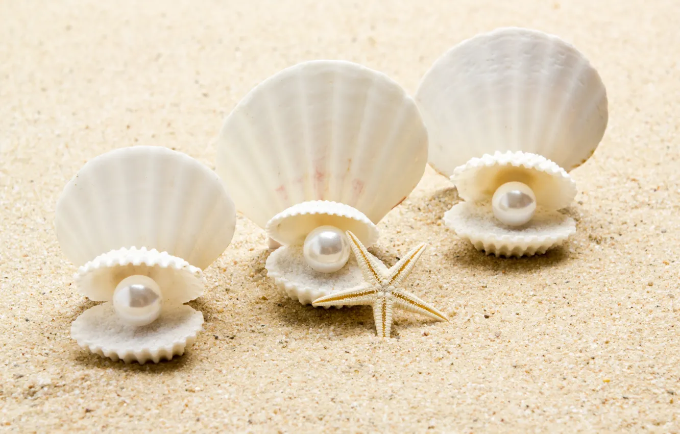 Photo wallpaper pearl, shell, starfish, sunshine, beach, sea, sand, seashell