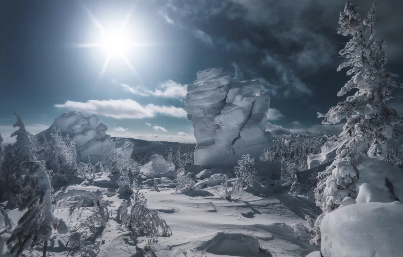 Photo wallpaper winter, the sun, rays, snow, trees, landscape, mountains, nature