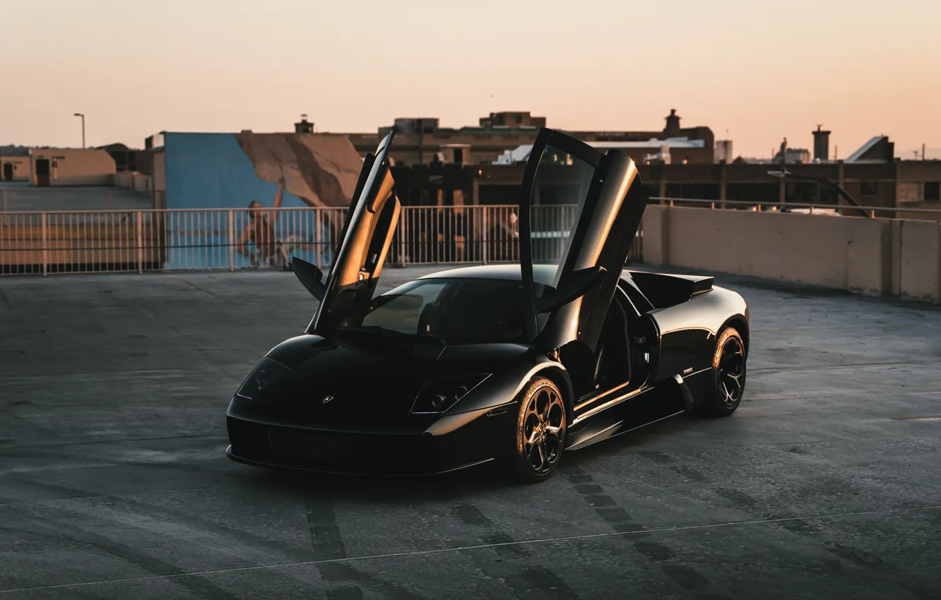 Photo wallpaper Black, Murcielago, Evening