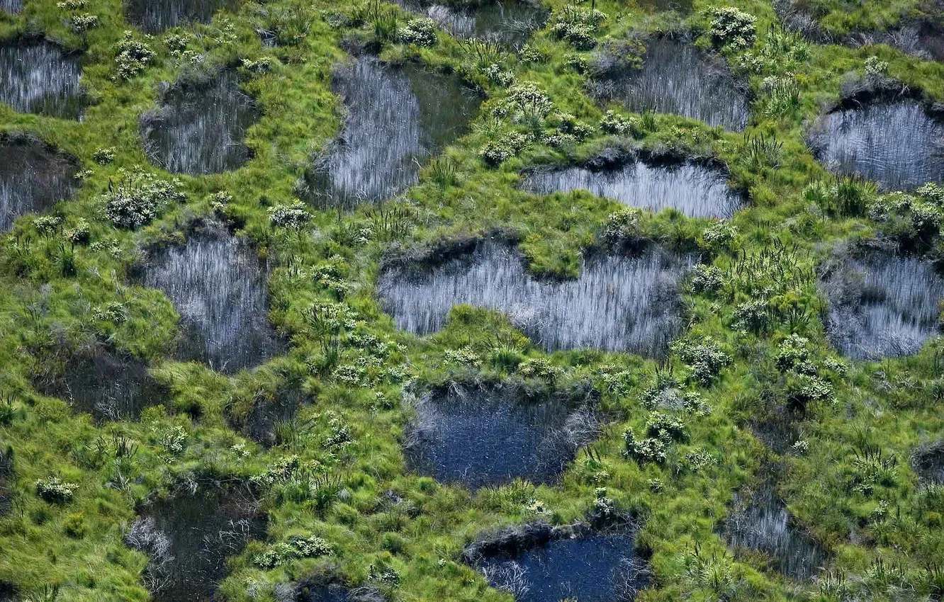 Photo wallpaper Australia, QLD, Moon Point, Fraser Island