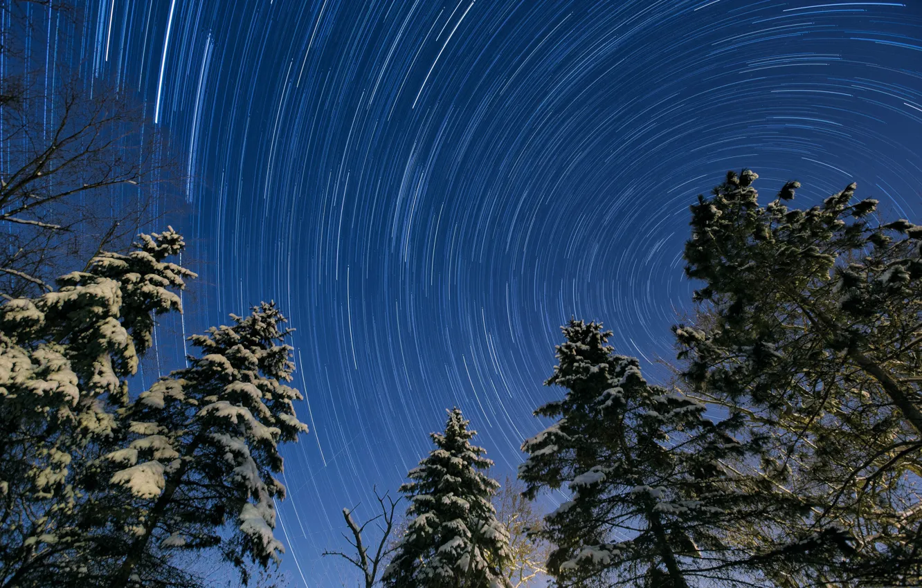 Photo wallpaper the sky, stars, trees