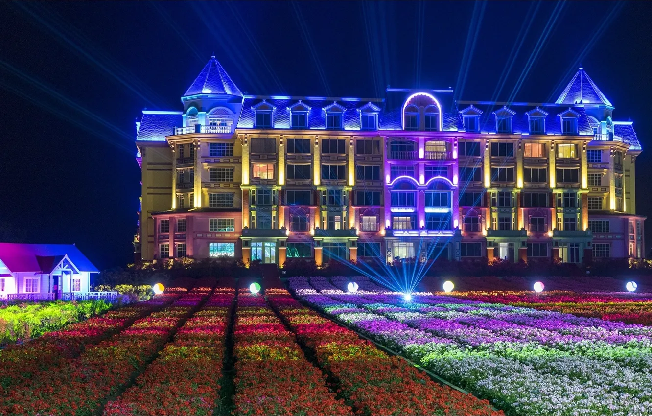 Photo wallpaper flowers, oops, color, other