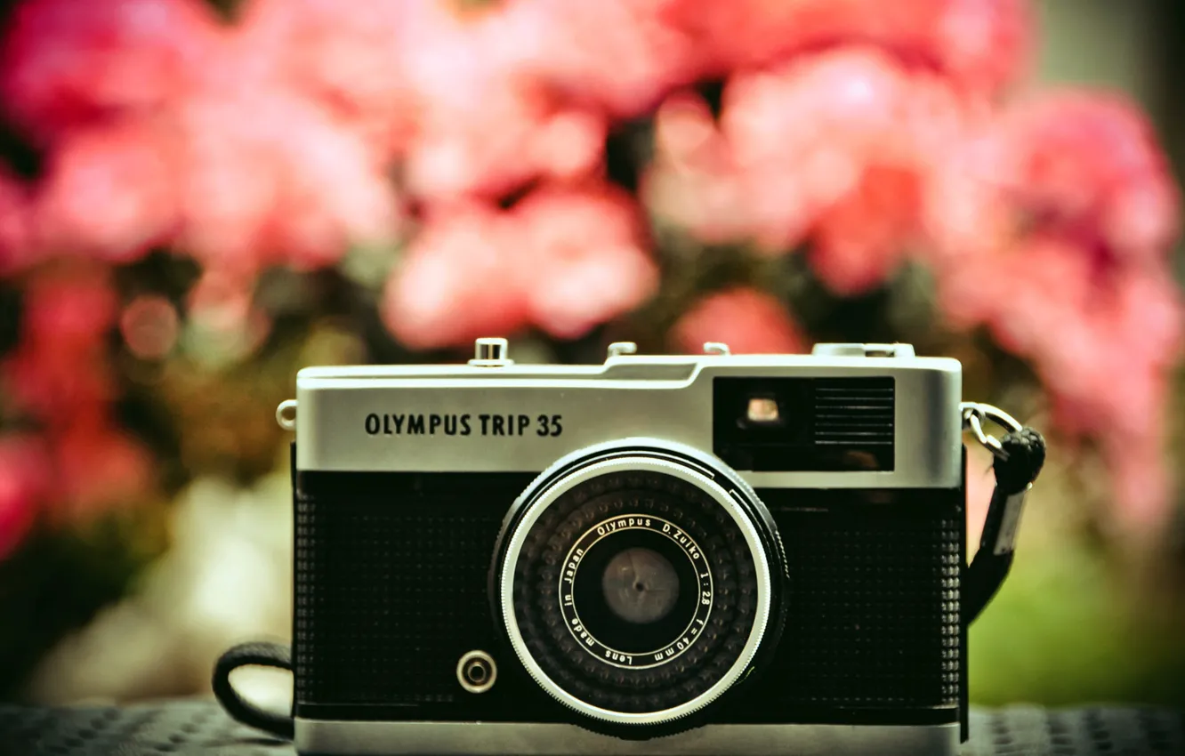 Photo wallpaper macro, flowers, nature, the camera, lens, Olympus