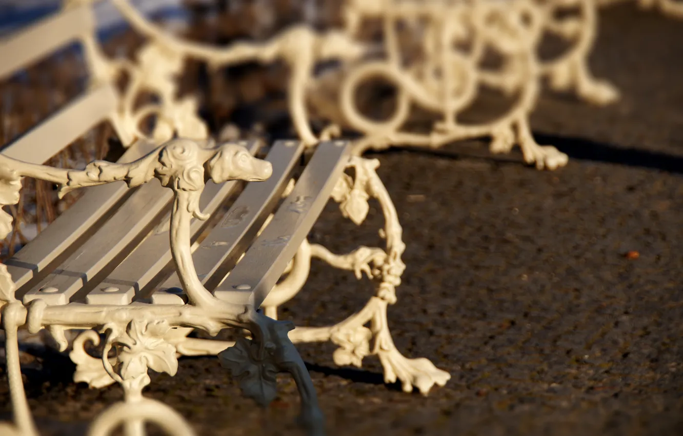 Photo wallpaper bench, the city, street, dog, garden, shop, shop, Palace