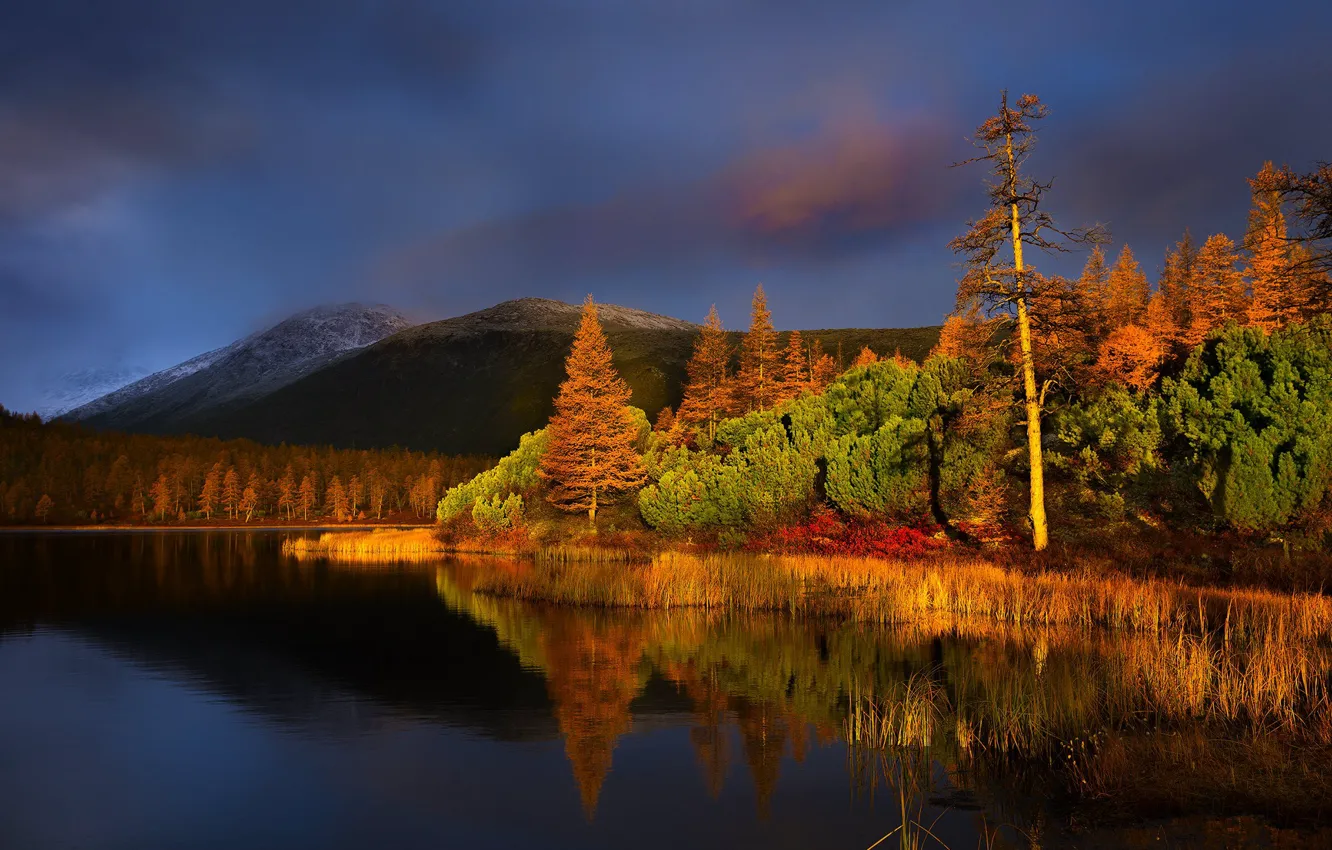 Photo wallpaper autumn, trees, landscape, sunset, mountains, nature, the evening, Kolyma