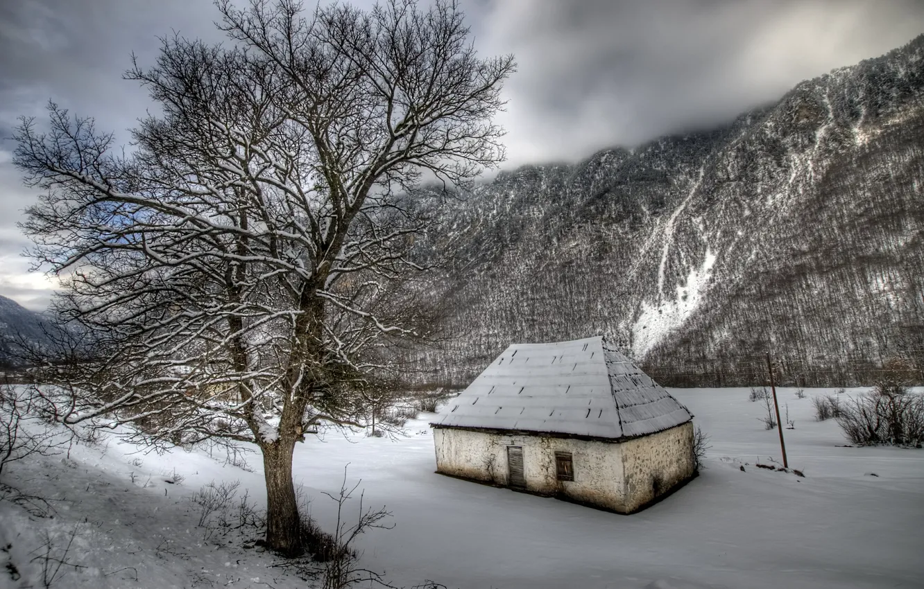 Photo wallpaper winter, snow, mountains, nature, tree, rocks, frost, abandoned