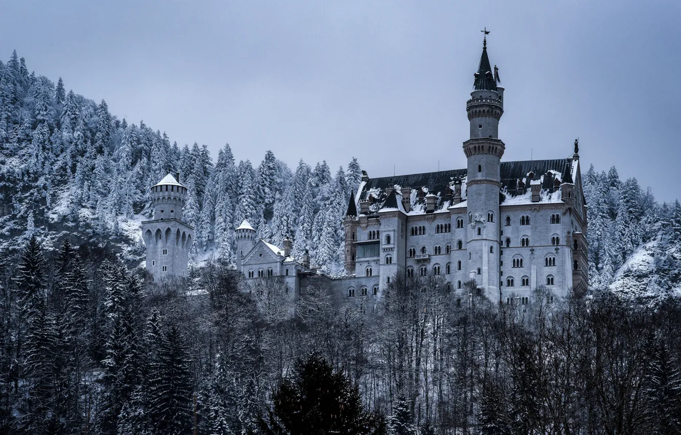 Photo wallpaper winter, forest, castle, Germany, Bayern, Germany, Bavaria, Neuschwanstein Castle