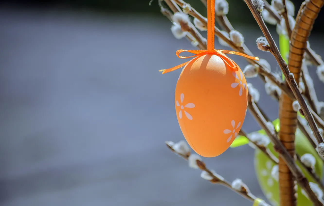 Photo wallpaper branches, holiday, eggs, Easter, Verba