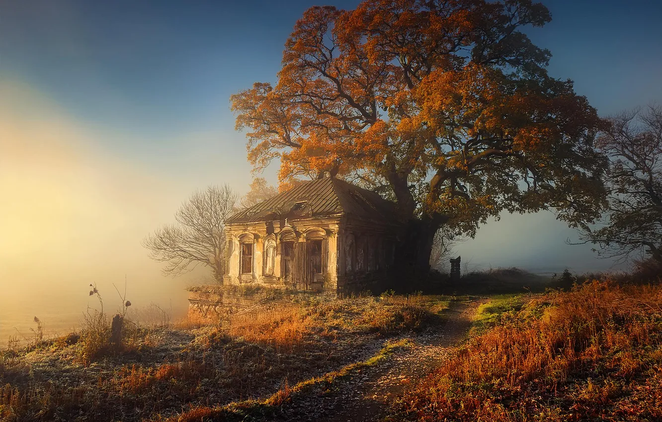 Photo wallpaper autumn, trees, nature, home