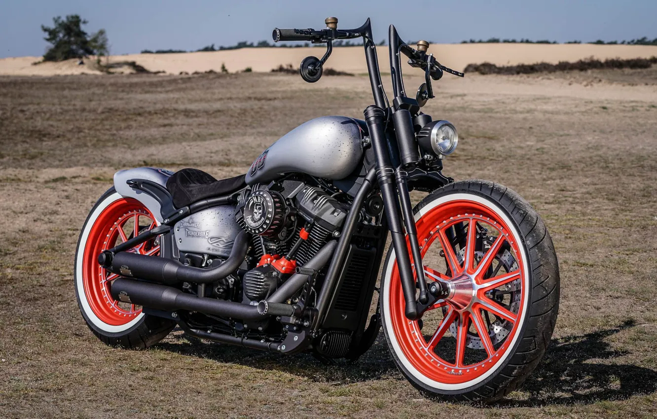 Мотоцикл Harley Davidson Custom