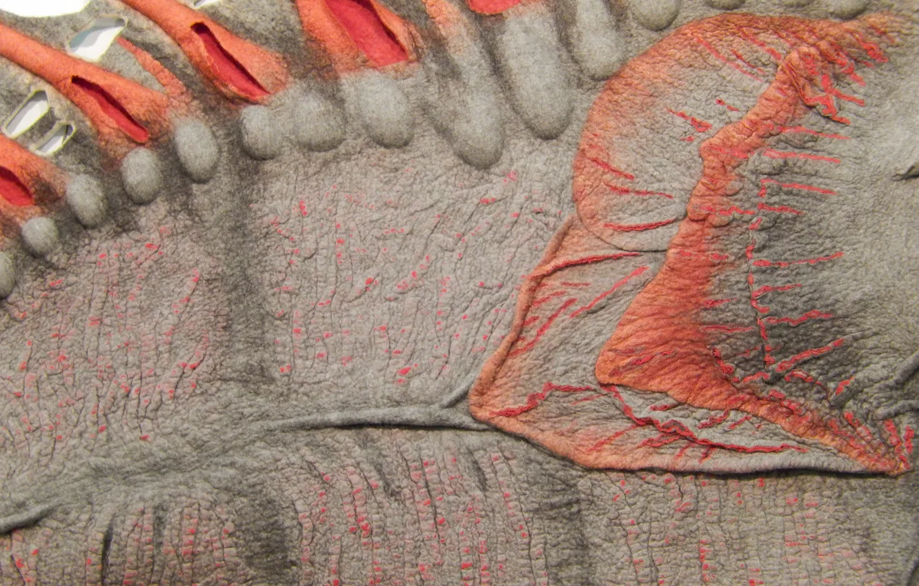 Photo wallpaper background, texture, widescreen, background, the Wallpapers, full screen, HD wallpapers, yarn