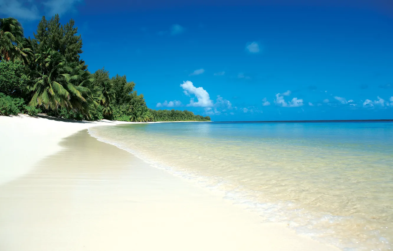 Photo wallpaper sand, sea, beach, clouds, tropics, palm trees