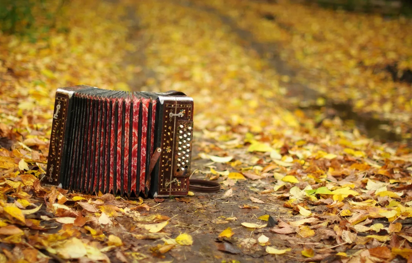 Photo wallpaper autumn, leaves, musical instrument, accordion
