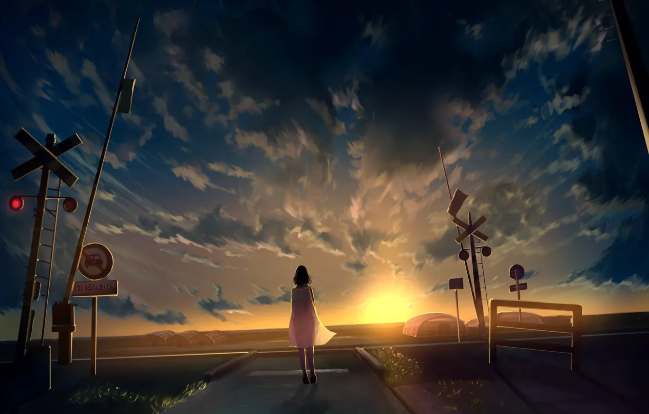 Photo wallpaper the sky, girl, sunset, signs, greenhouses, railway crossing