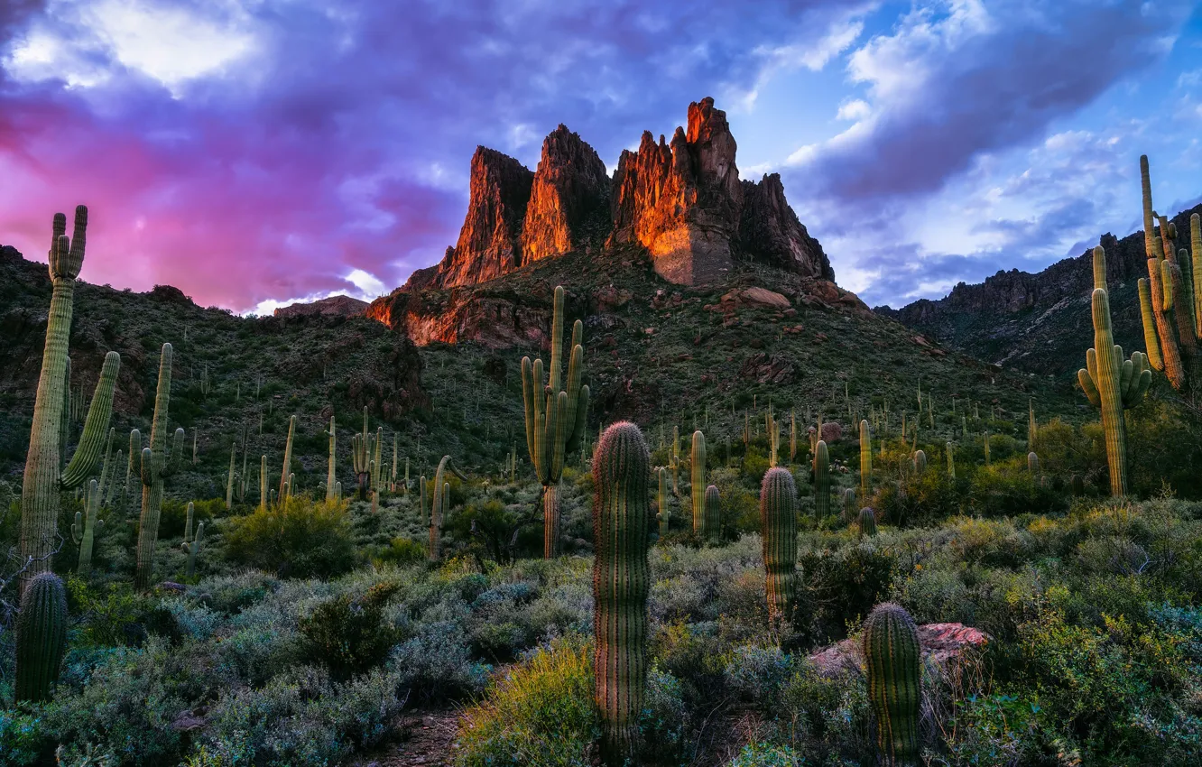 Photo wallpaper clouds, sunset, mountains, rocks, hills, desert, cactus