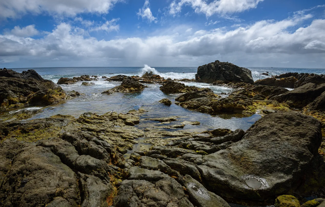 Photo wallpaper sea, the sky, clouds, stones, shore, horizon, Netherlands, Sunny