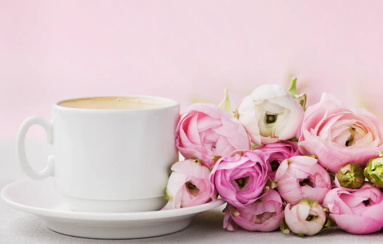 Photo wallpaper flowers, roses, Cup, pink, pink, flowers, beautiful, cup