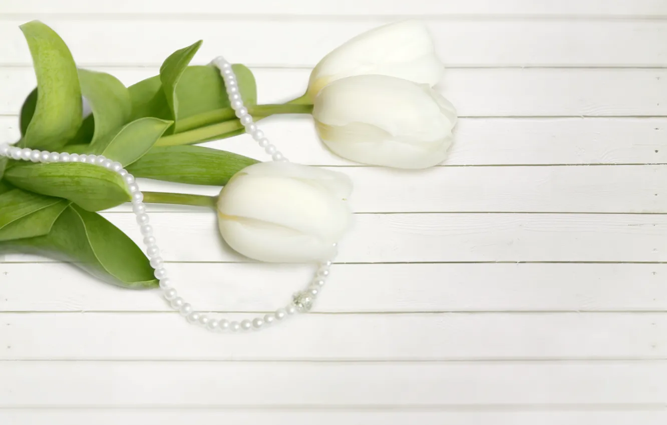 Photo wallpaper decoration, bouquet, tulips, beads, white, Zhemchug