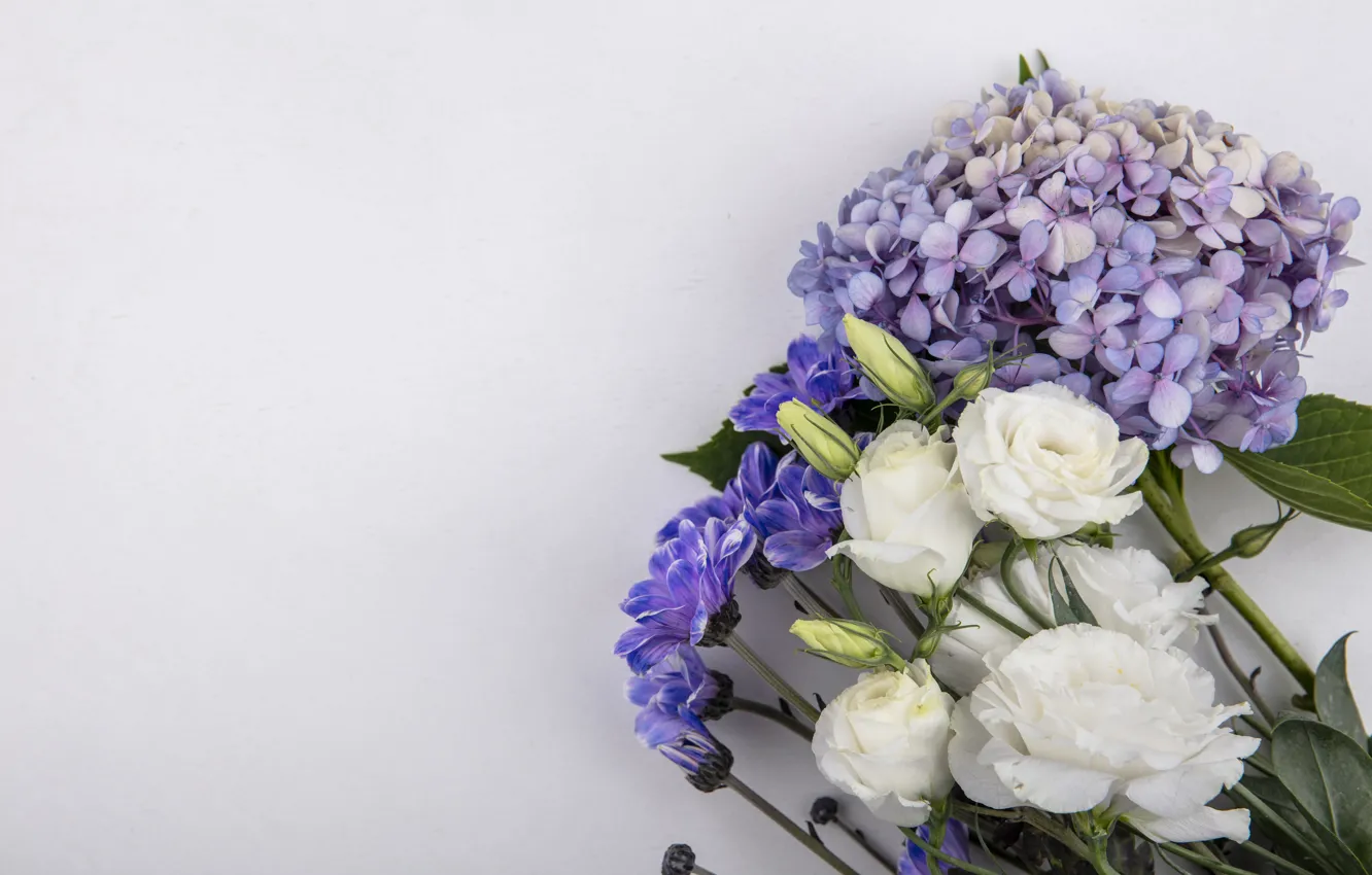 Photo wallpaper flowers, bouquet, hydrangea, eustoma