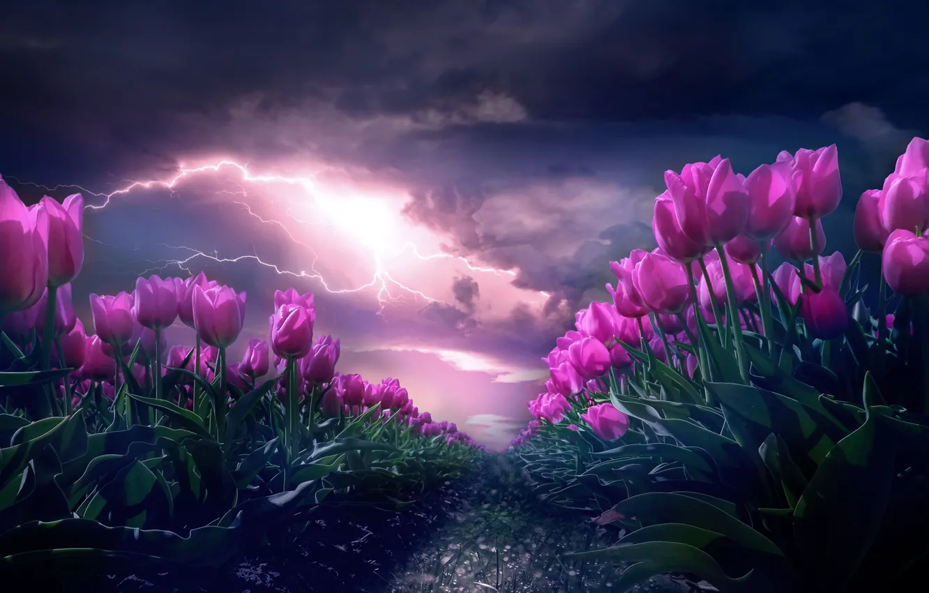 Photo wallpaper the storm, field, the sky, landscape, flowers, clouds, rendering, lightning